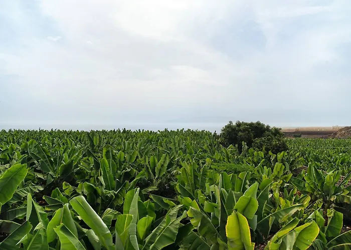 Appartamento La Caldera Sunset View